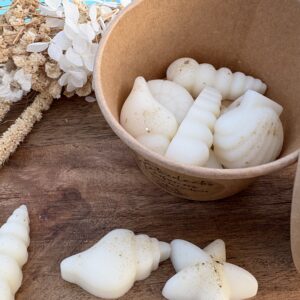 BOITE FONDANTS PARFUMES