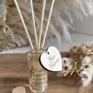 Mini Diffuseur d'Ambiance 30 ml